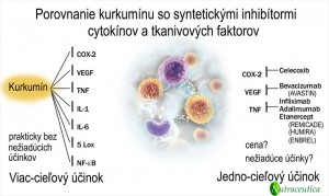 Kurkumín porovnanie účinkov so syntetickými inhibítormi tkanivových faktorov